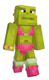 Custom render preview