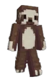 OsOPRZOsO Minecraft avatar full body