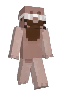 Ottermore Minecraft avatar full body