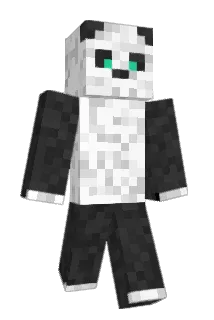 Owentje1 Minecraft avatar full body