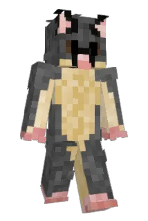 OzPossum Minecraft avatar full body