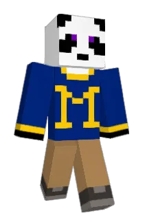 P0WERPANDA Minecraft avatar full body