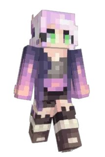 P0_RI Minecraft avatar full body
