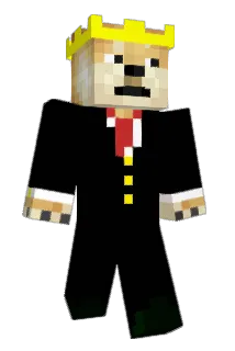 P0geD0ge Minecraft avatar full body