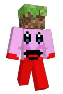P0kx Minecraft avatar full body