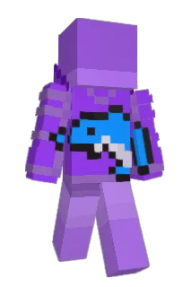 P0rpoises Minecraft avatar full body