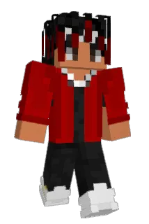 P17_PL Minecraft avatar full body