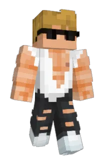 P1a_ Minecraft avatar full body