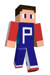P1nGGuin Minecraft avatar full body