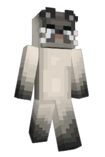 P4RYZ Minecraft avatar full body