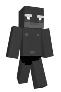 P4rzivald Minecraft avatar full body