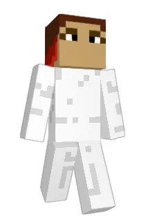 P8DD Minecraft avatar full body