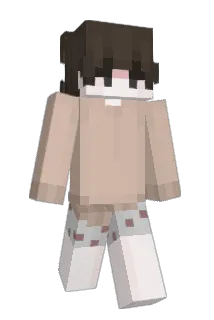 PA0123 Minecraft avatar full body