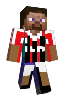 PA772 Minecraft avatar full body