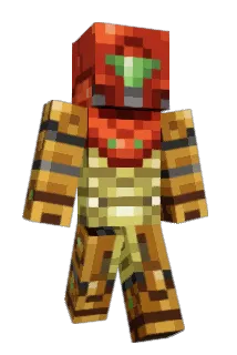 PAB Minecraft avatar full body