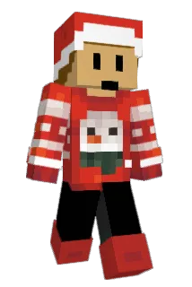 PAD3N Minecraft avatar full body