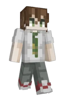 PADAROGKA Minecraft avatar full body