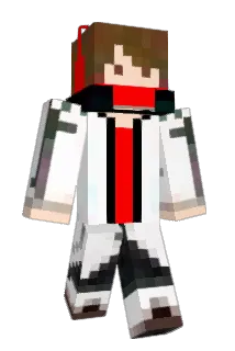 PALNAPS Minecraft avatar full body