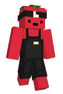 PANDARA_BOX Minecraft avatar full body