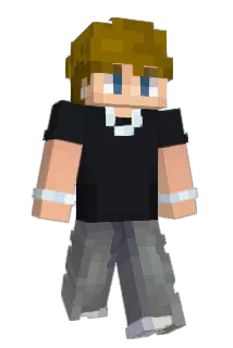 PANDe_ Minecraft avatar full body