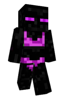 PAPAMEGGS Minecraft avatar full body