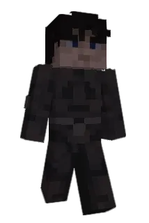 PARMEYER Minecraft avatar full body