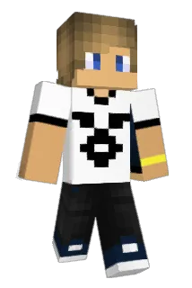 PASA228 Minecraft avatar full body