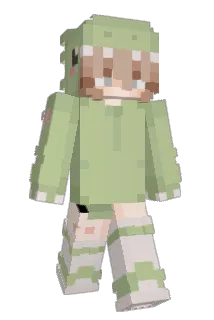 PAW1DA Minecraft avatar full body