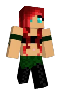 PBNinja101 Minecraft avatar full body