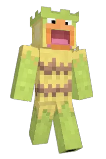 PC3005 Minecraft avatar full body