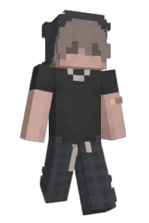 PCC27 Minecraft avatar full body