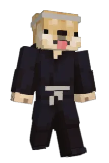 PChai Minecraft avatar full body