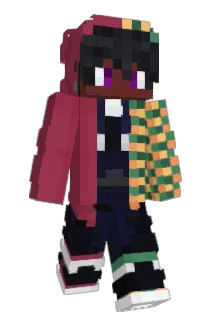 PDIDDYSMART10 Minecraft avatar full body