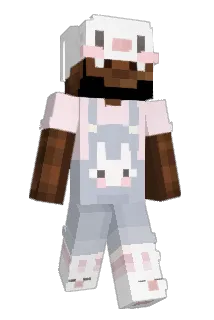 PDRFR Minecraft avatar full body