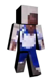 PEDR01233 Minecraft avatar full body