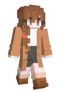 PERTEN1120 Minecraft avatar full body
