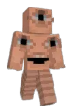 PFTX Minecraft avatar full body