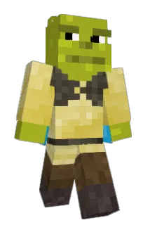 PGRM17 Minecraft avatar full body