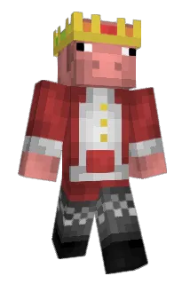 PH03N1XX_ Minecraft avatar full body