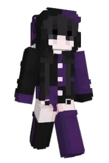 PHY1229 Minecraft avatar full body
