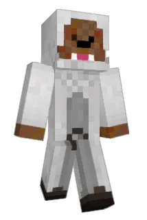 PINT00 Minecraft avatar full body
