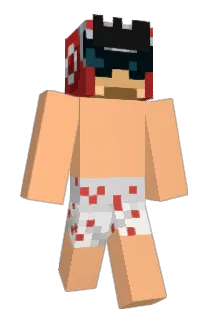 PITTUTTO Minecraft avatar full body