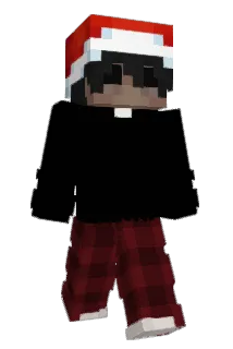 PITpocket_ Minecraft avatar full body