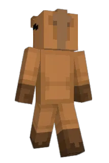 PIXELS_17 Minecraft avatar full body
