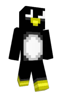 PJRS Minecraft avatar full body