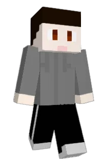 PKDH Minecraft avatar full body