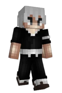 PL4VON Minecraft avatar full body