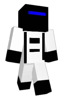 PL88 Minecraft avatar full body
