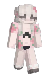 PLAC0R Minecraft avatar full body