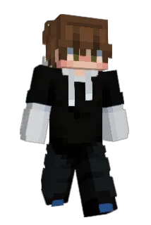 PLYSIS Minecraft avatar full body